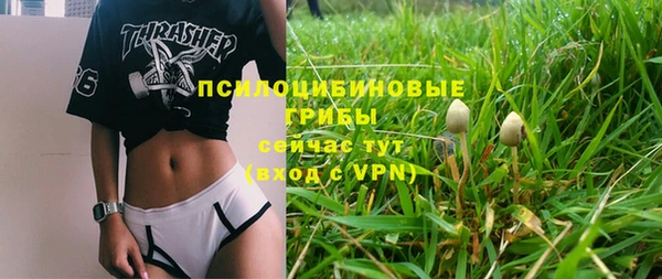 кокс Алексин