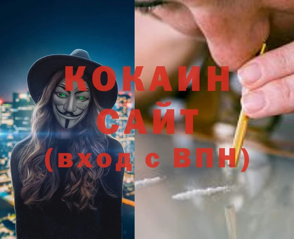 кокс Алексин